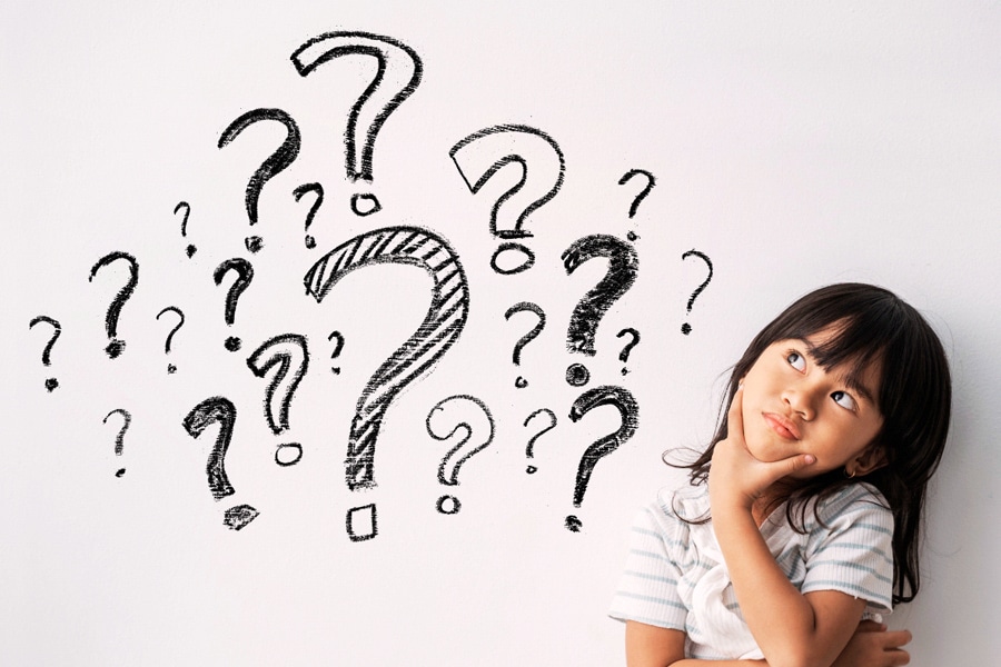 Search Categories
