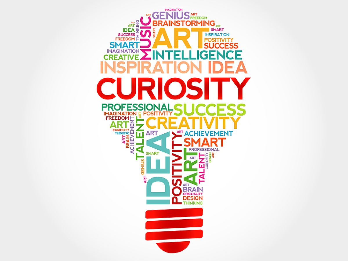 The Spark of Genius: How Curiosity Powers Your Brain