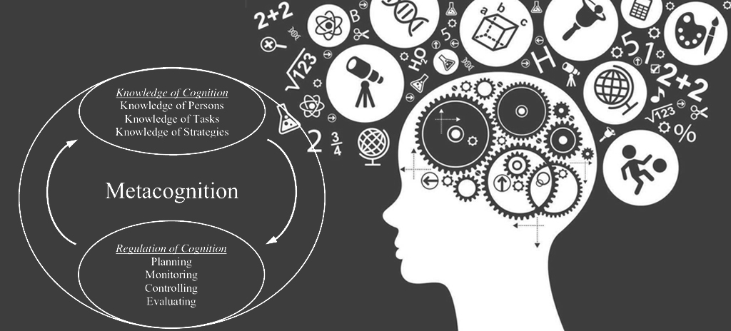 Metacognition 101 - Why Thinking About How You Think Is the Secret to Better Grades