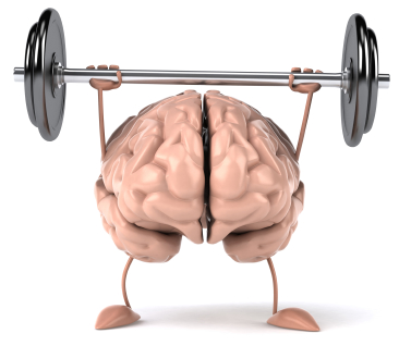 "Your Brain is a Muscle"