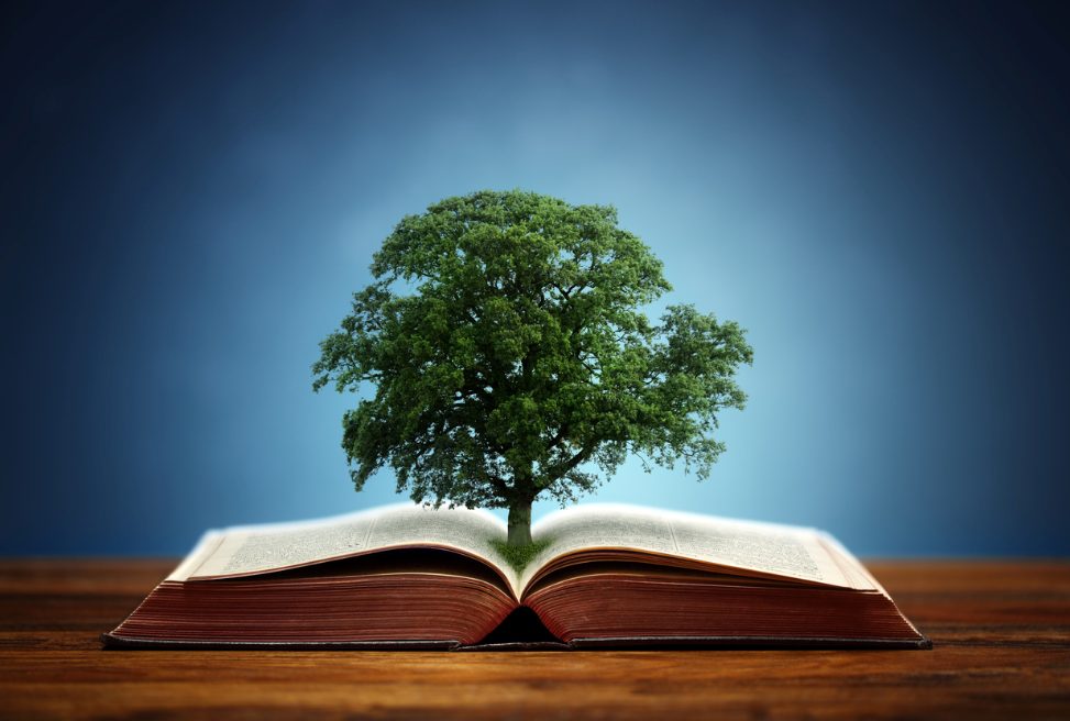 From Wonder to Wisdom